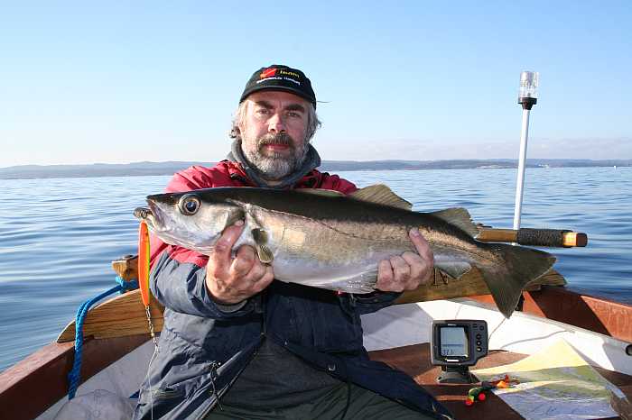 Schöne Pollacks gibt es hier reichlich.